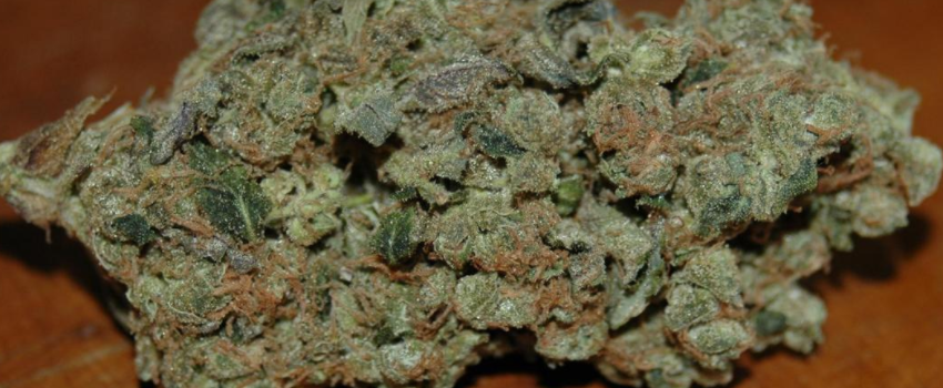 Sour_Jack_Effects