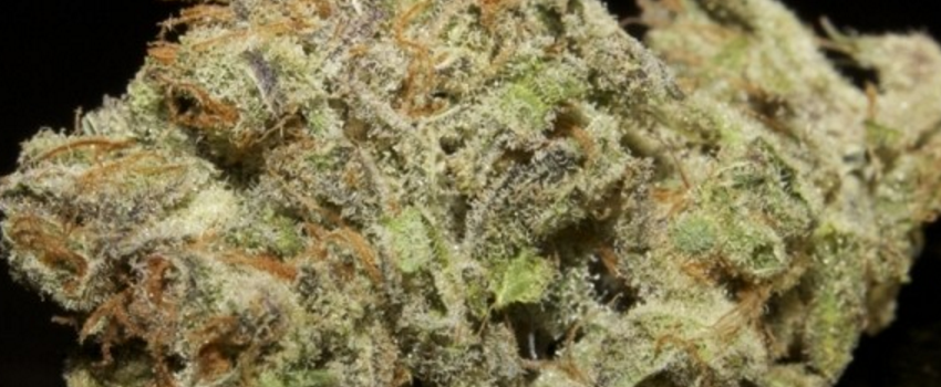 Marionberry_KushEffects