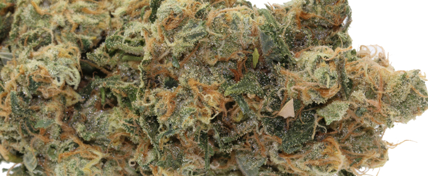 Orange_CookiesMedical