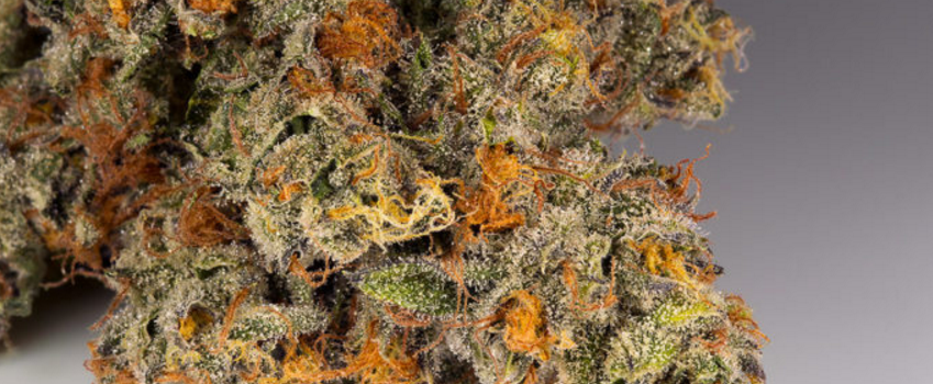 Orange_Cookies_Effects