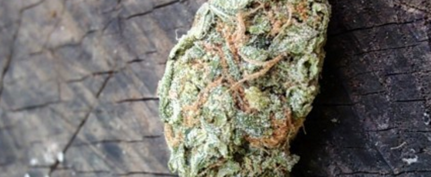 AtomicalHazeMedical