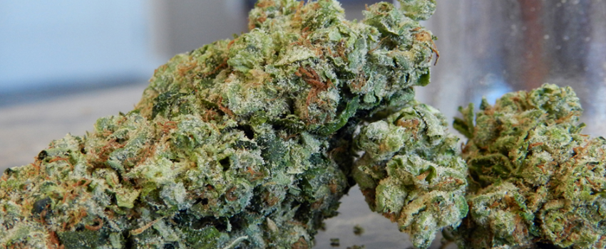 Aurora_BorealisMedical