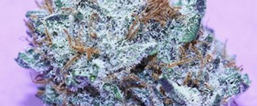 Blue_AfghaniAdverse_Reaction
