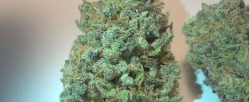 Blue_AfghaniEffects