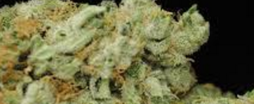 Blue_AfghaniMedical