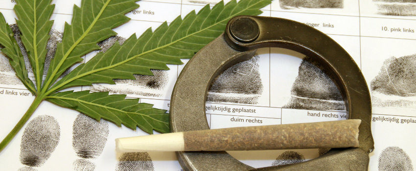 Breaking Marijuana