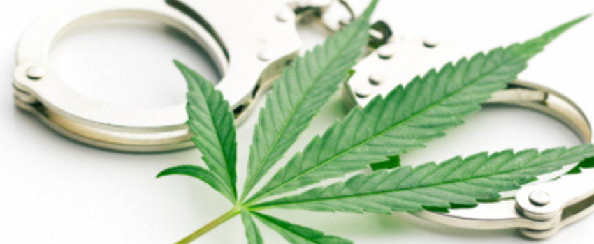 BreakingMarijuanaLaws