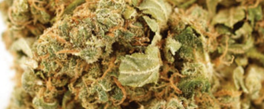 Early_GirlGrowing