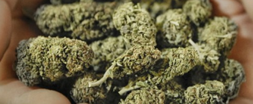 Marijuana