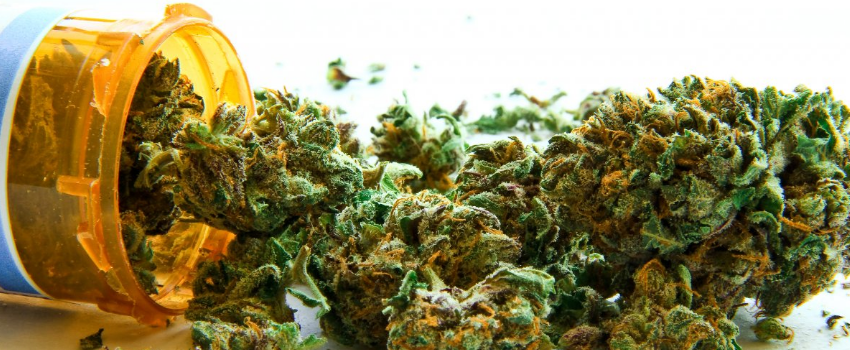 Medical_Marijuana