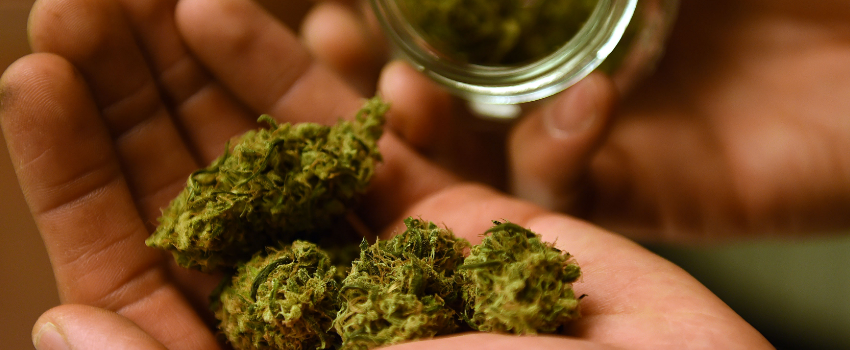 Possessing_Marijuana