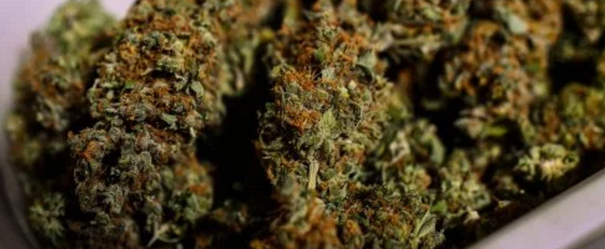 Possessing_Marijuana
