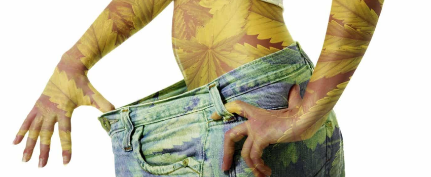 Smoking_pot_can_prevent_obesity_and_help_you_lose_weight