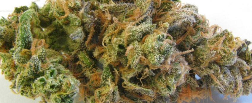 Blue Dream