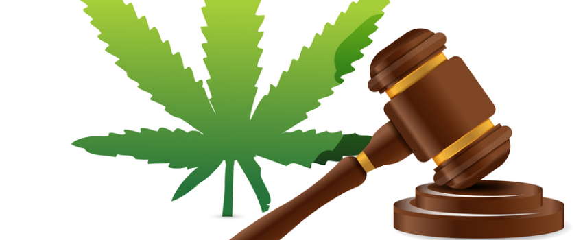 Breaking the Marijuana