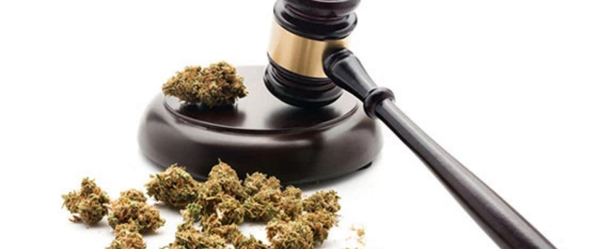 Breaking the Marijuana Laws