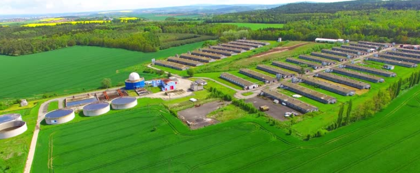 Cannabis Biomass