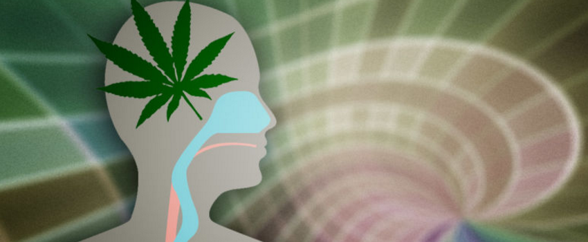 Does Using Cannabis Increase Risks of Becoming Schizophrenic