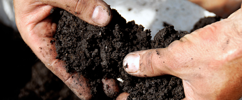 High-Quality Soil