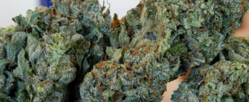 Alaska Medical