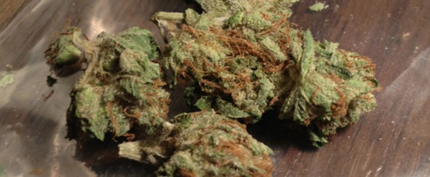 Flowerbomb Kush Adverse Reaction