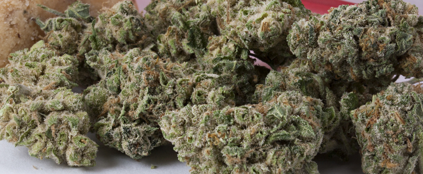 While Caramel Cookie Medical