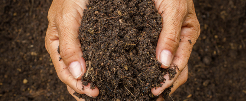 Compost