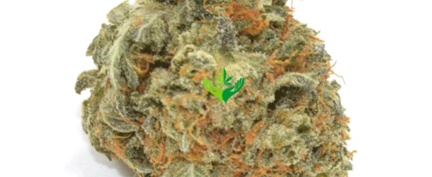 Rockstar Master Kush Adverse Reaction
