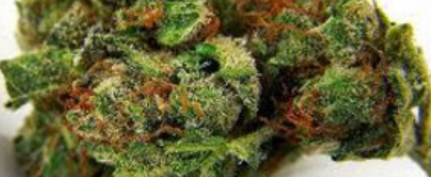Rockstar Master Kush Effects