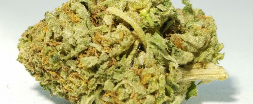 Rockstar Master Kush Medical