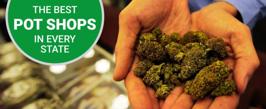What kind of marijuana business can you open in California