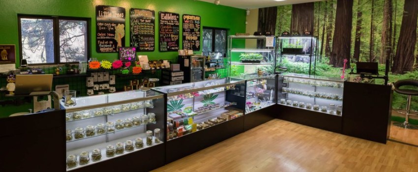 Cannabis storefront in California