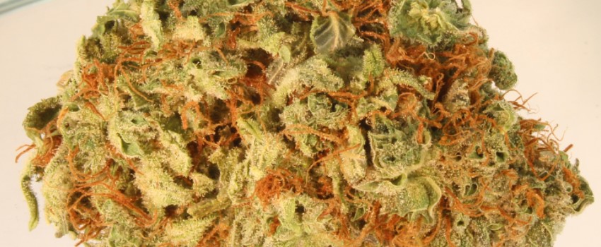 Corleone Kush Adverse Reaction