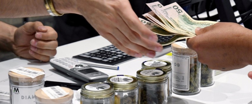 How much money is there in the marijuana market