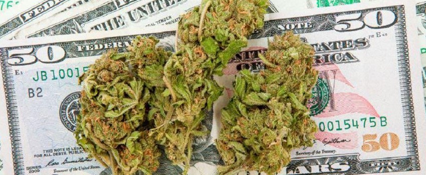 How much money is there in the marijuana market