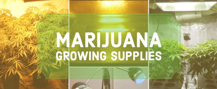 Marijuana Growing Supplies