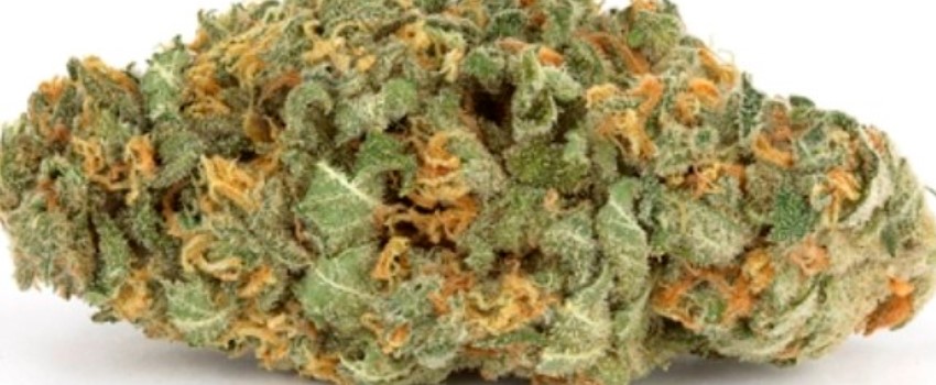 Maui Berry Effects