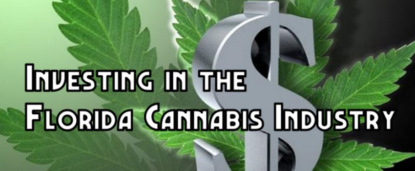 Profits of the cannabis industry in Florida