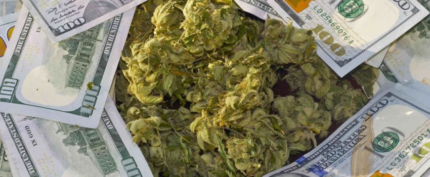 Profits of the cannabis industry in Maine