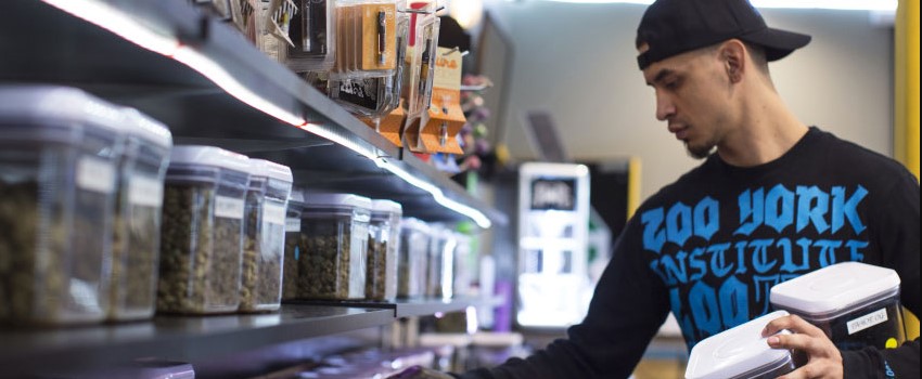 Dispensary Owner requirements