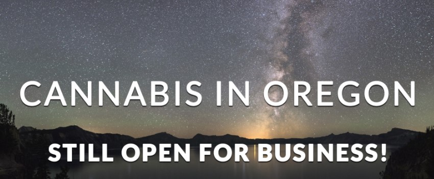 What kind of cannabis business can I open in Oregon