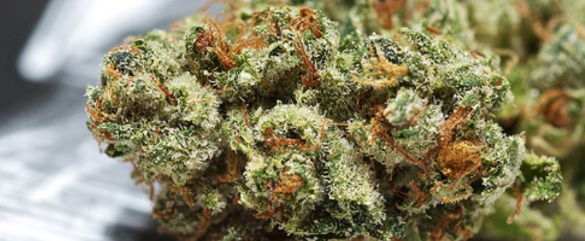 White OG Adverse Reaction