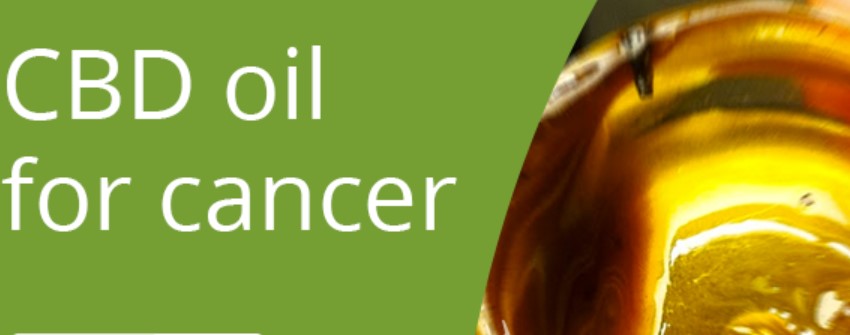 CBD oil to treat cancer