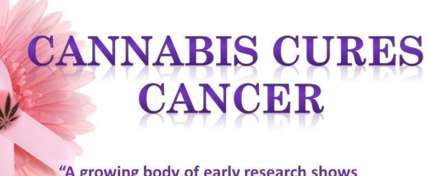 Can cannabinoids really treat cancer