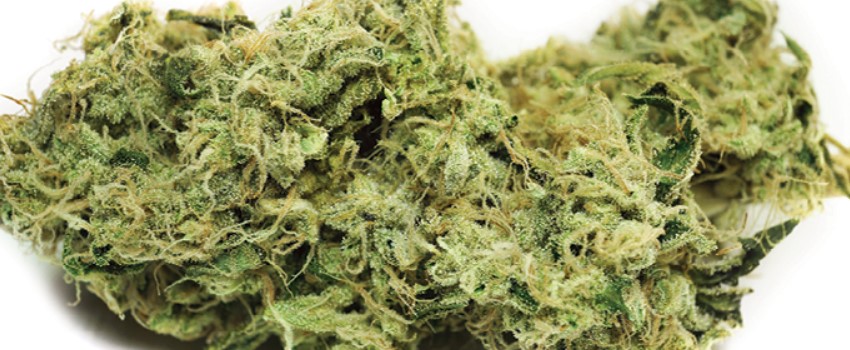 Copper Kush Medical