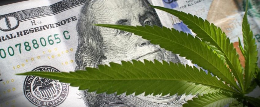 How much money is there in the Connecticut marijuana industry