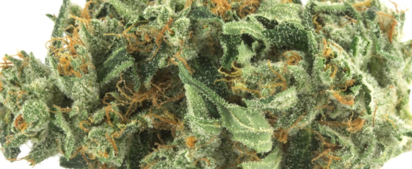 Lemon Walker OG Effects