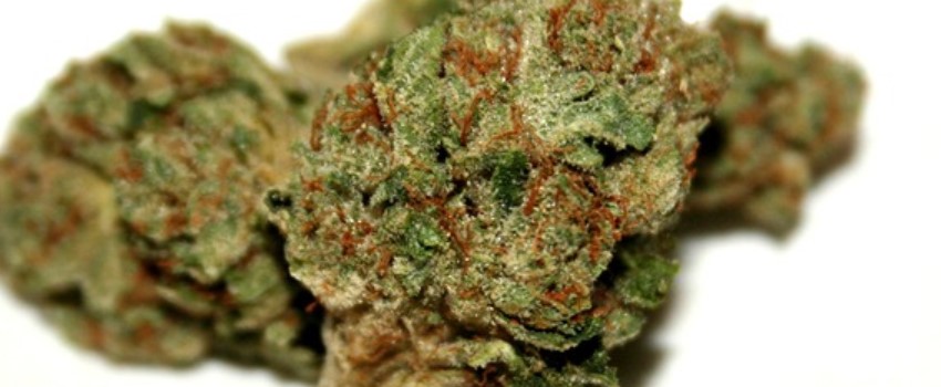 Lemon Walker OG Medical