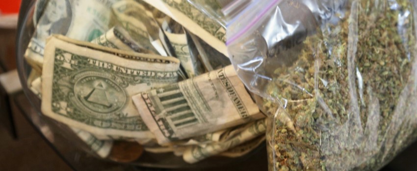 Profits of the cannabis industry in North Dakota