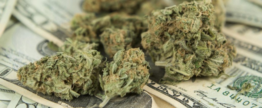 Profits of the cannabis industry in Vermont